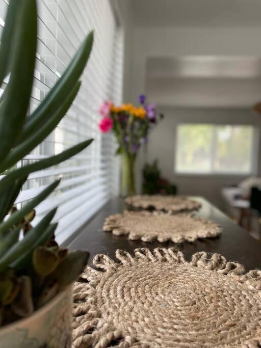 Jungle Cottage With Luxury Pool, Hot Tub And More! Lake Worth Beach Bagian luar foto